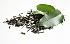 Green Tea Leaf Nootropic