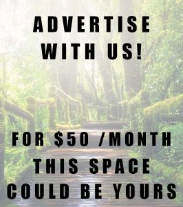 Advertise With Digital Sages