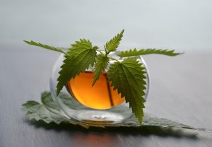 Nettle Leaf Tea Kidney Detox Solution