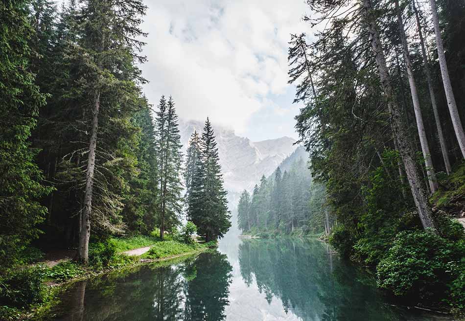 River of Life