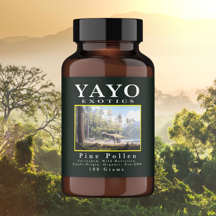 best pine pollen supplement YAYO exotics pure power libido
